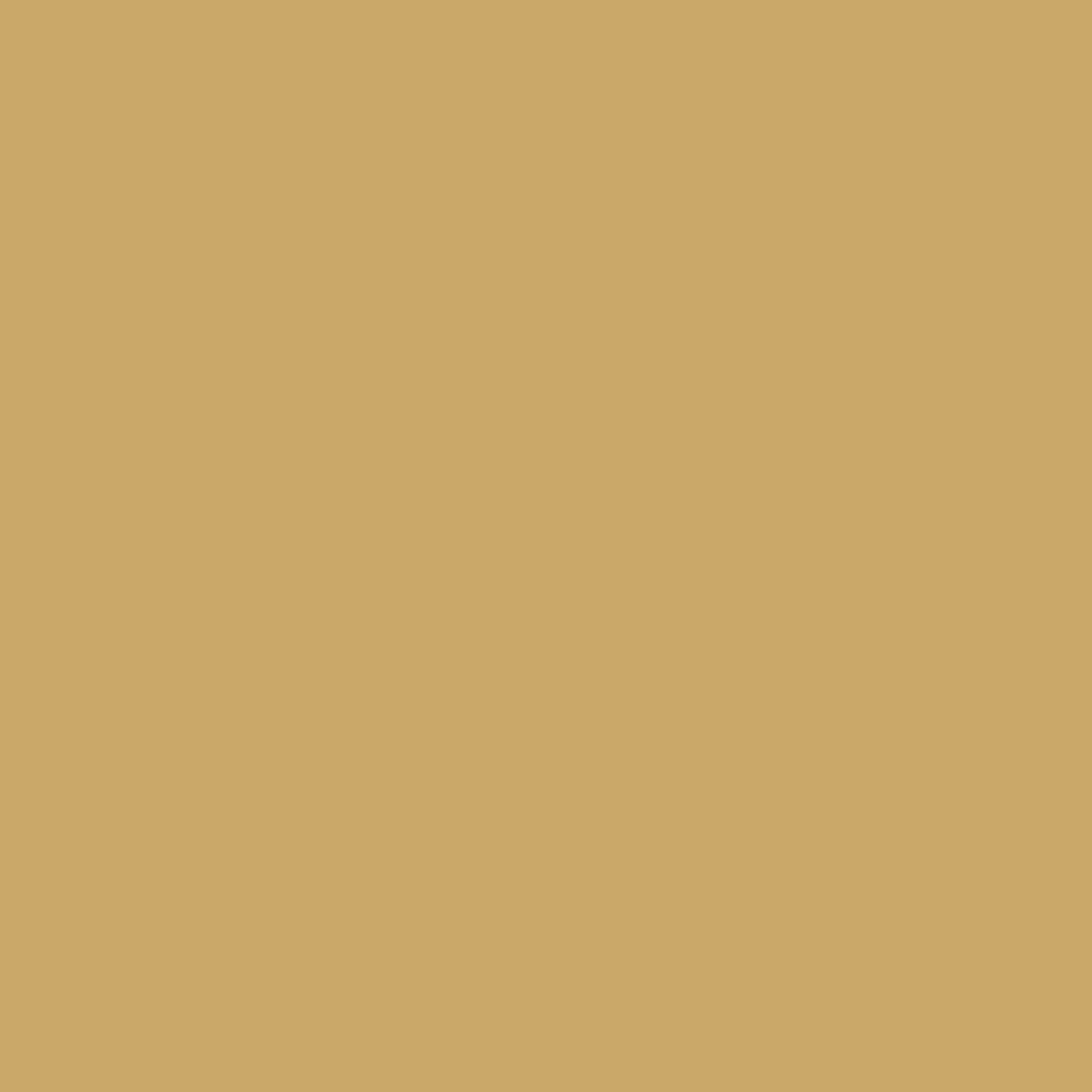Copic Sketch Marker, Lionet Gold