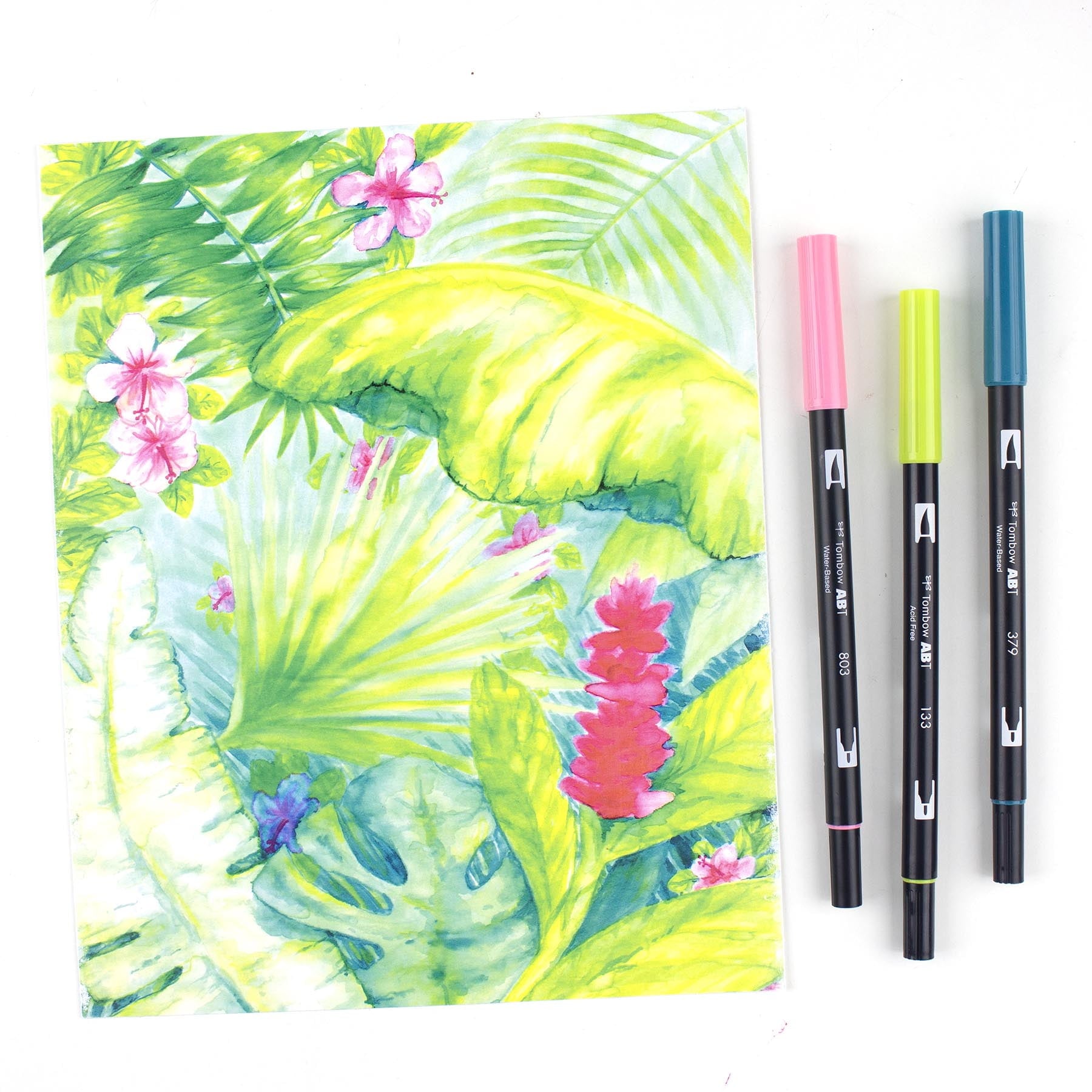 Tombow Dual Brush Pen Art Markers, Tropical Color Palette, 6 Pack