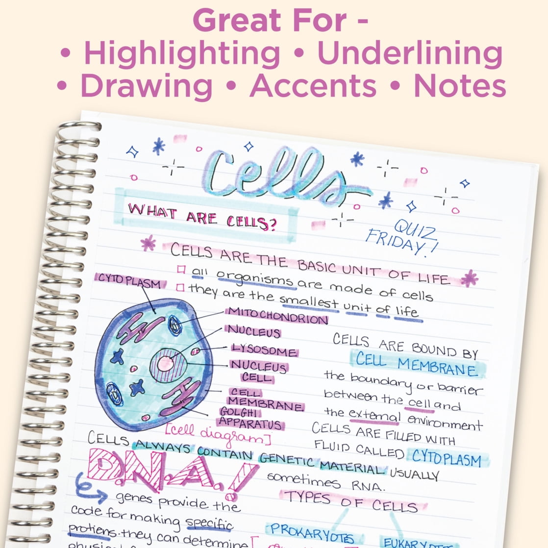 Zebra Pen Mildliner Double-Ended Creative Highlighter Set - Assorted Colors 25-Pack