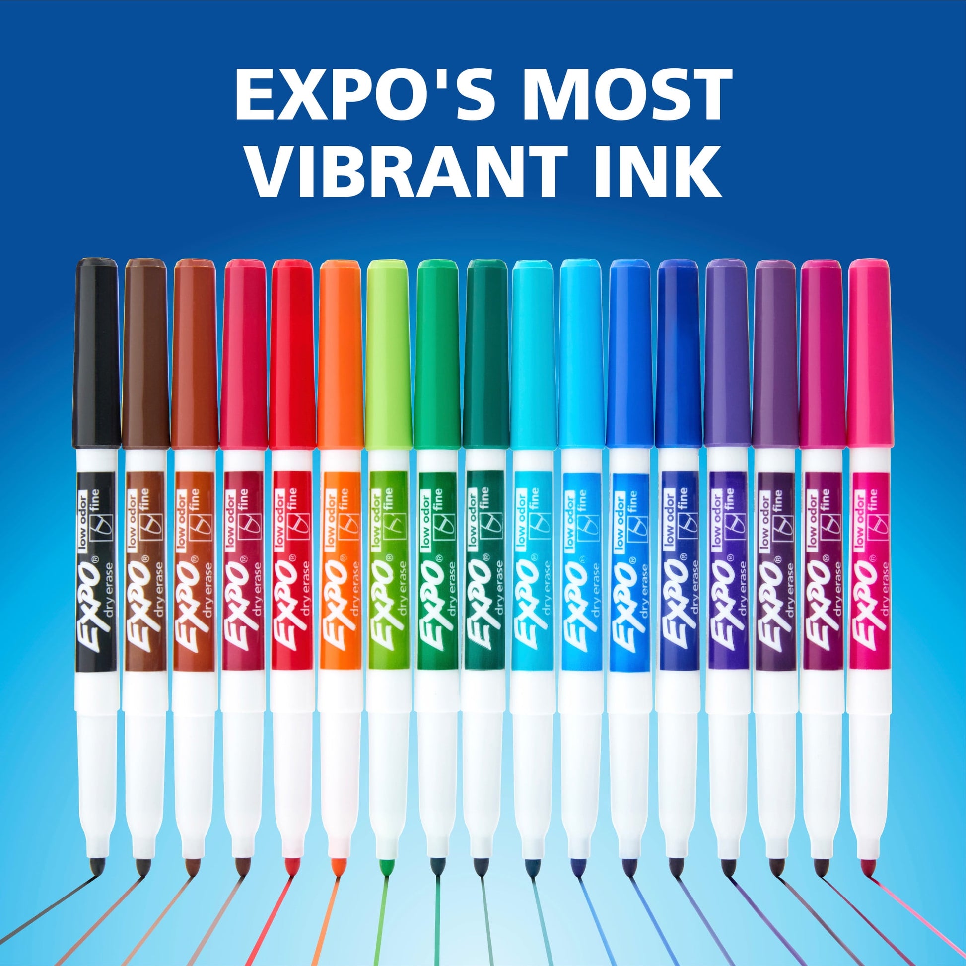 EXPO Dry Erase Markers Kit, Includes Eraser, Spray Cleaner, 7 Count